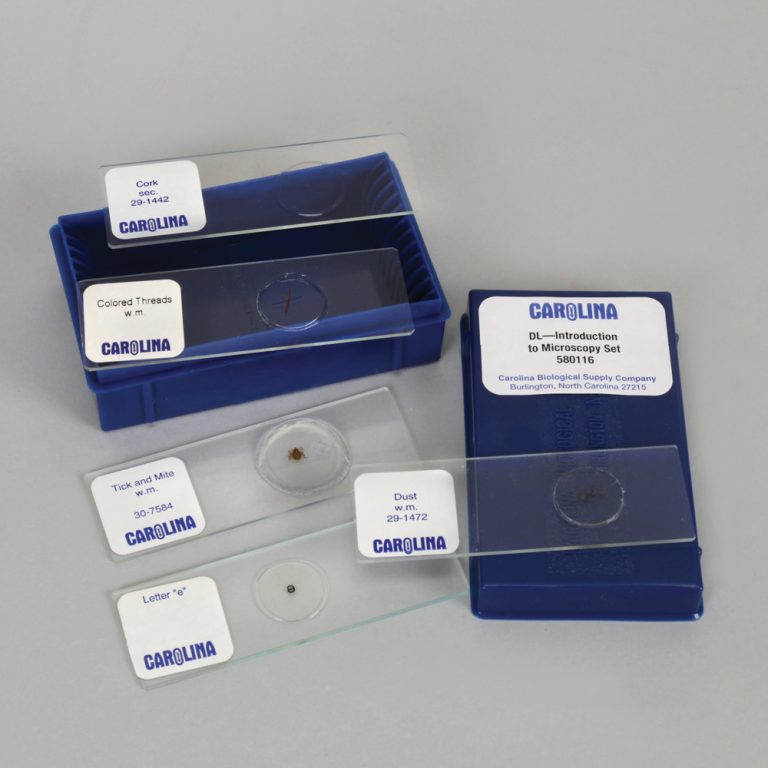 Introduction to Microscopy Set