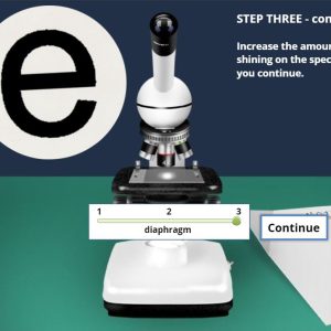Introduction to Microscopy Virtual Lab
