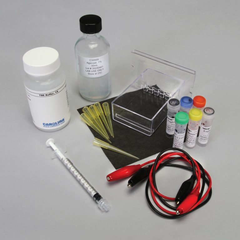 Introduction to Biotechnology Methods