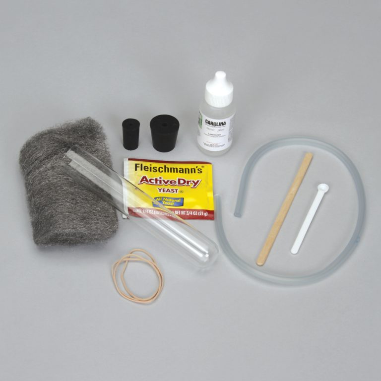 Investigate Chemical Reactions