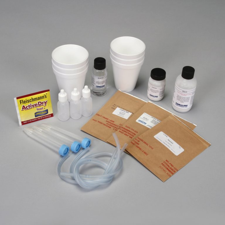 Fermentation of Sugars