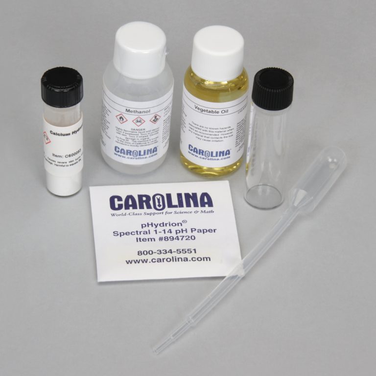DL BIODIESEL