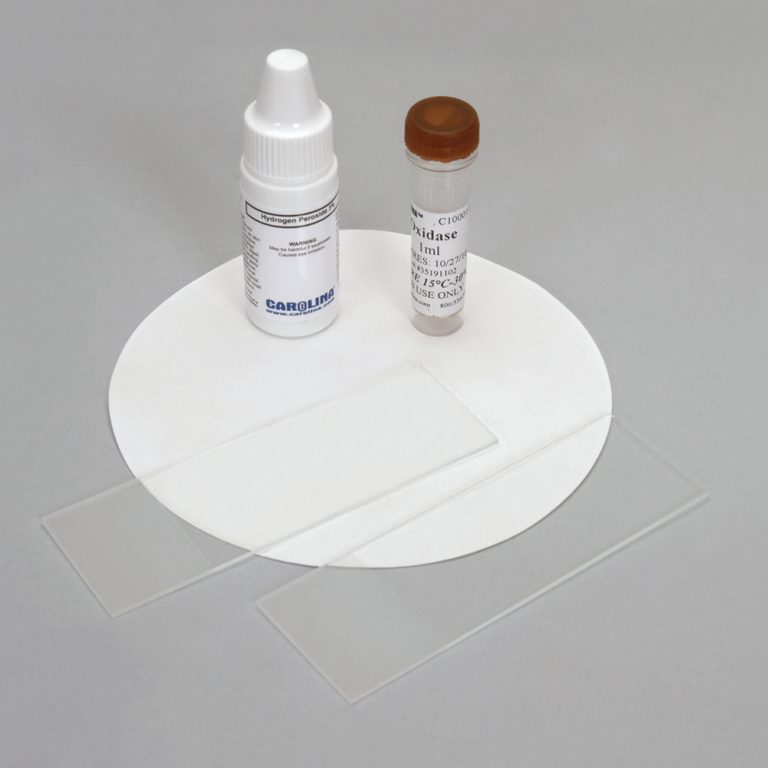 DL Biochemical Tests