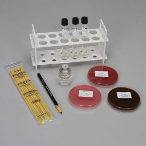 Use of Selective and Differential Media