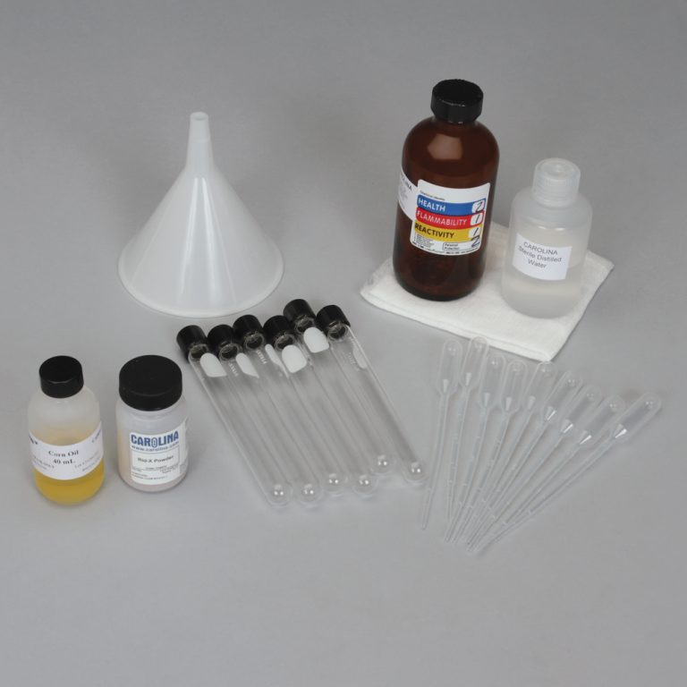 DL BIOREMEDIATION