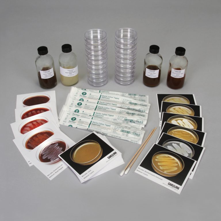 Microbial Inhibition by Spices