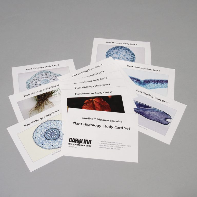 Plant Histology with Study Cards