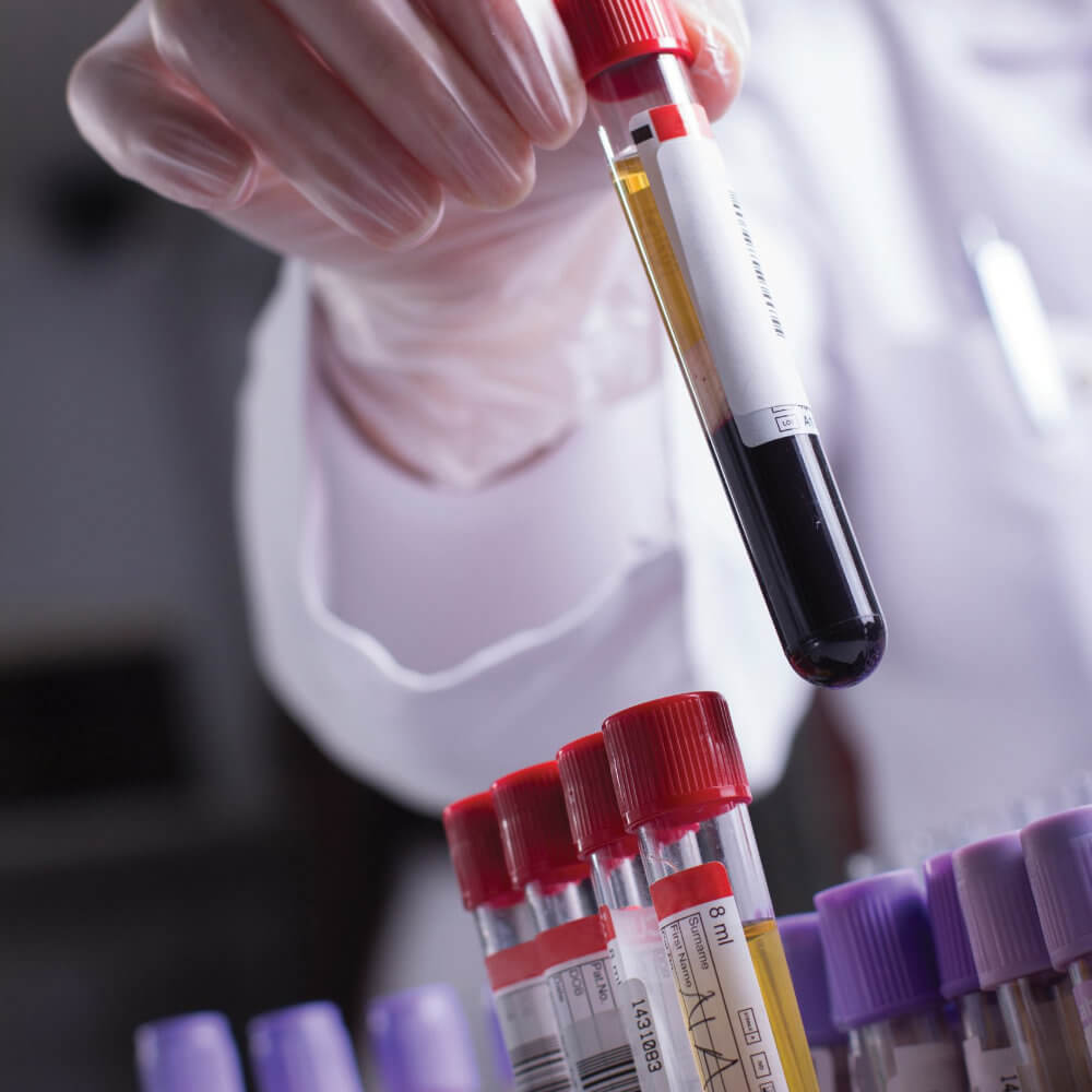 Health Sciences Kits