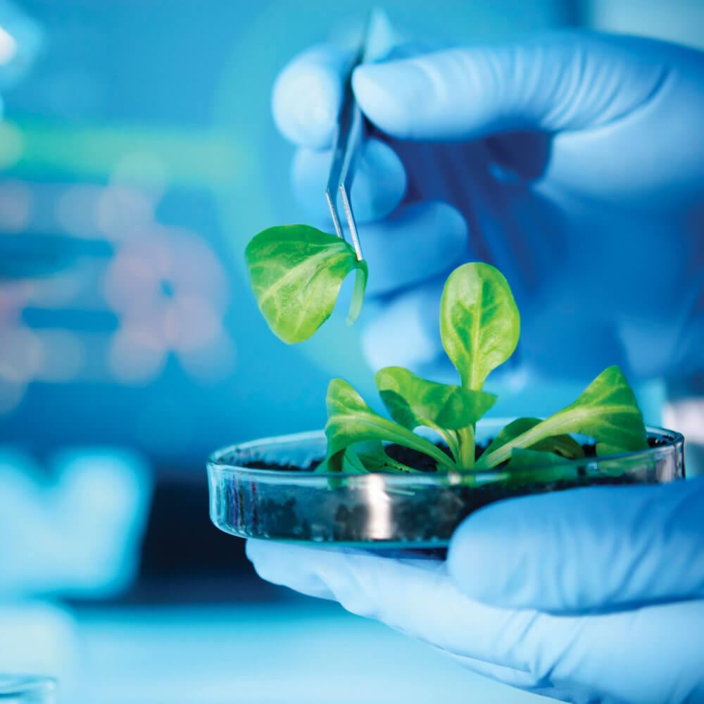 Environmental Science Kits