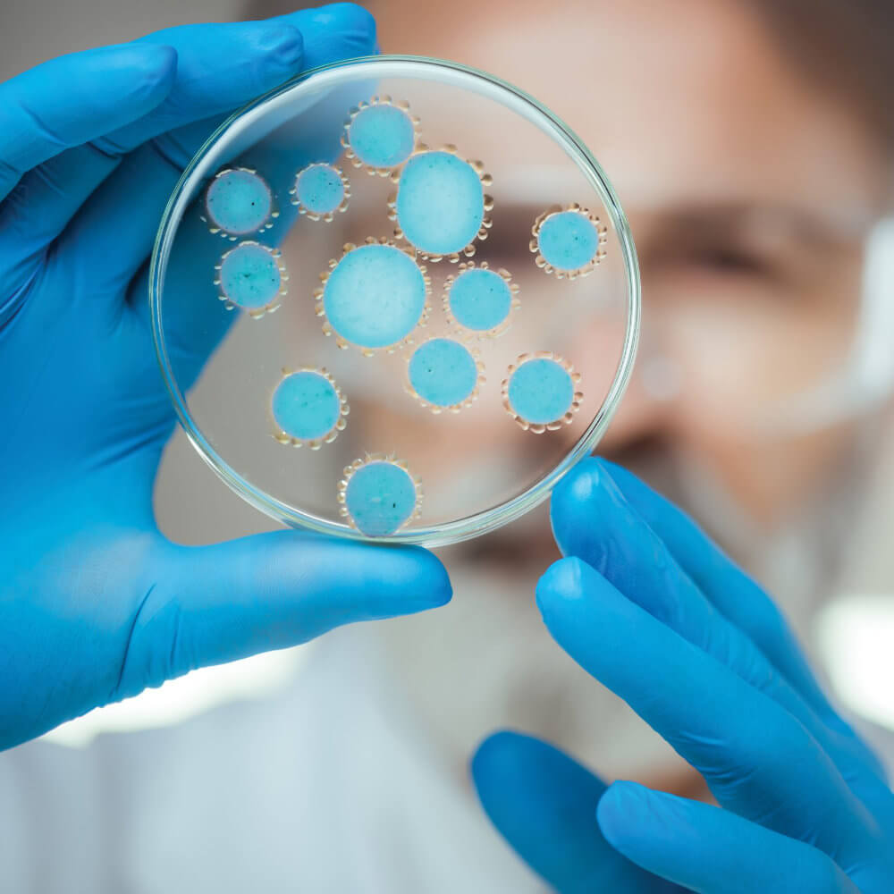 Microbiology Kits