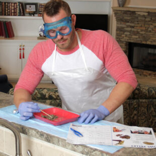 Carolina Online Gateway - Carolina Distance Learning